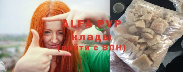 шишки Аркадак