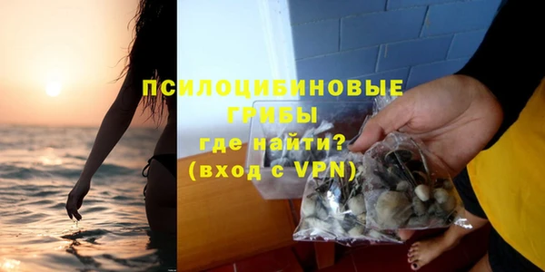 не бодяженный Арсеньев