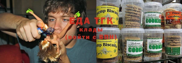 шишки Аркадак
