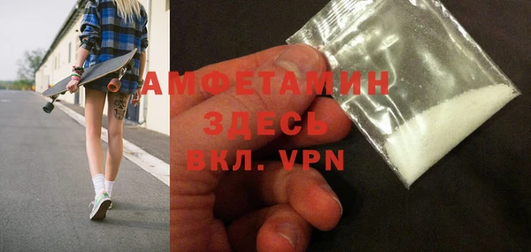 шишки Аркадак
